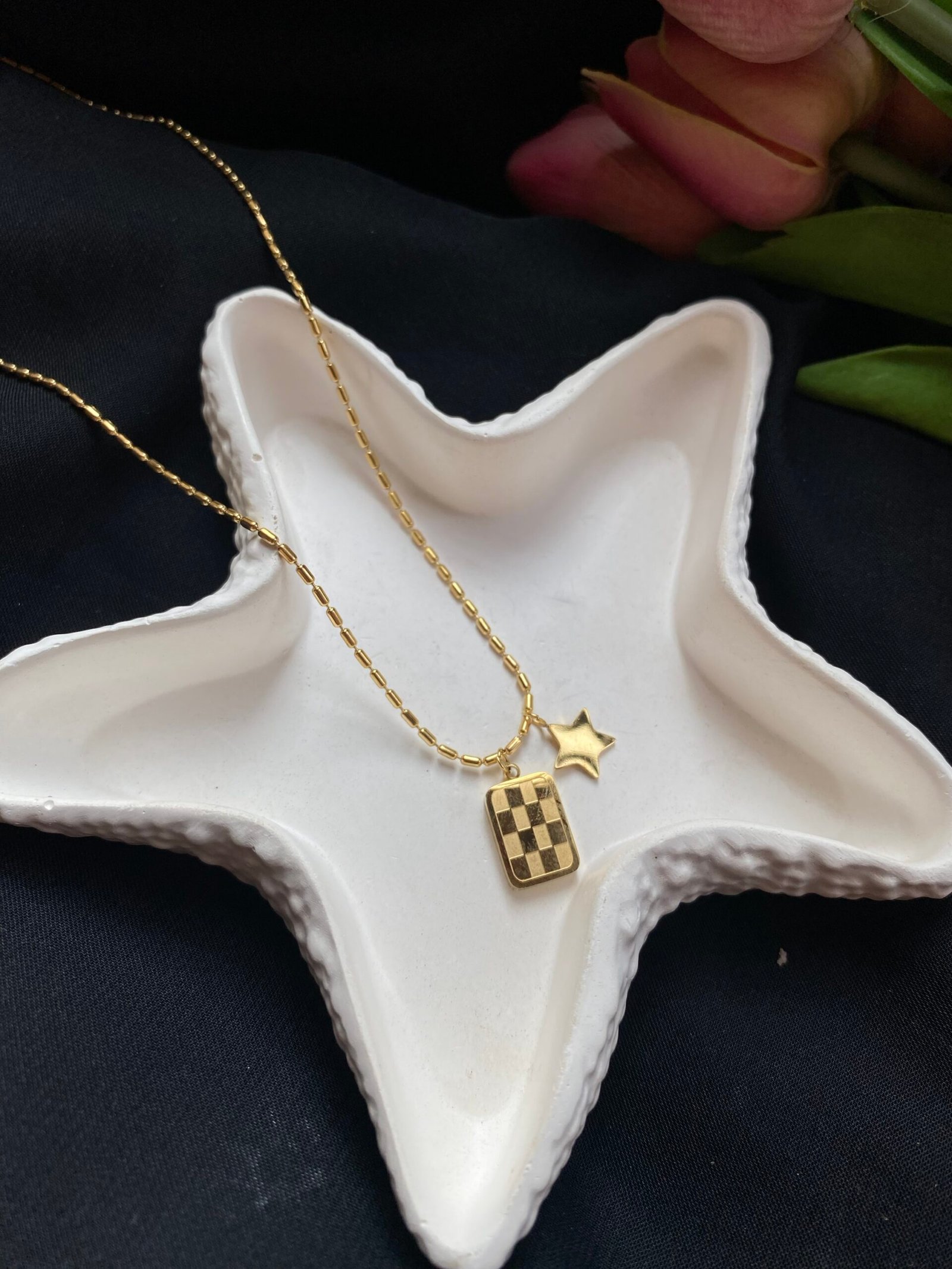 img_5539 Chase star pendant - Image 1
